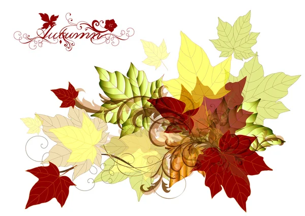 Diseño con hojas de arce de otoño vector — Vector de stock