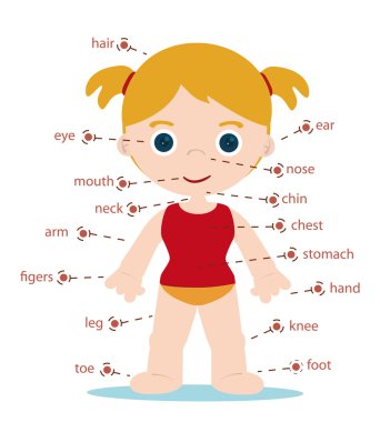 Girl body parts clipart