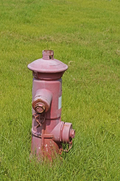Fire hydrant na trawie — Zdjęcie stockowe
