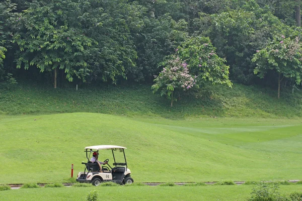 stock image Battery car in golf course