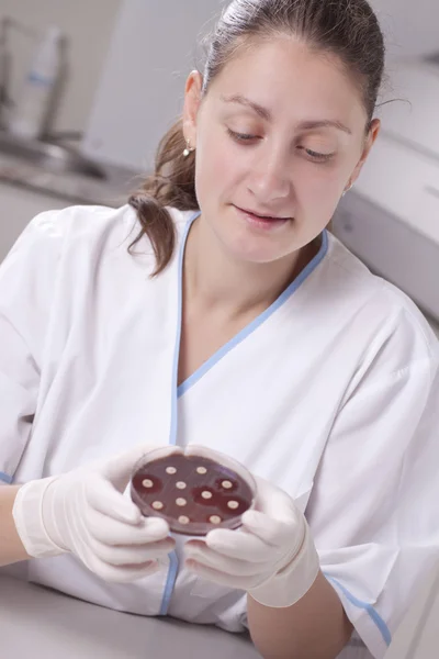 Scienziato di laboratorio con capsula di Petri — Foto Stock