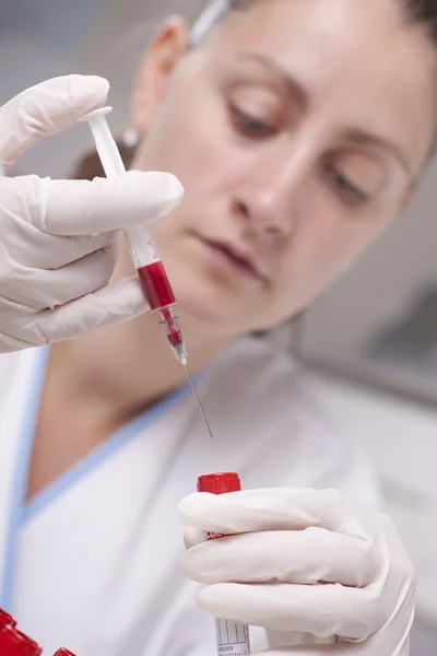Injecting blood in test tube — Stock Photo, Image