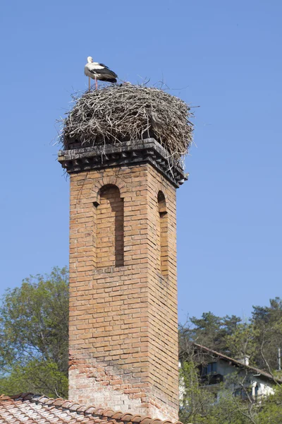 stock image Stork on chimney