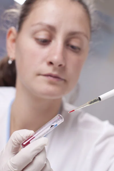 Micro pipette with blood Stock Image