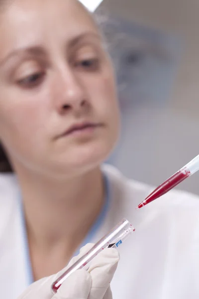 Micro pipette with blood Royalty Free Stock Photos