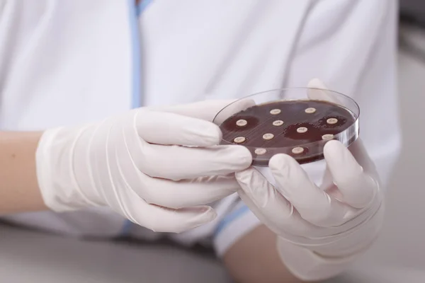 Scienziato di laboratorio con capsula di Petri — Foto Stock