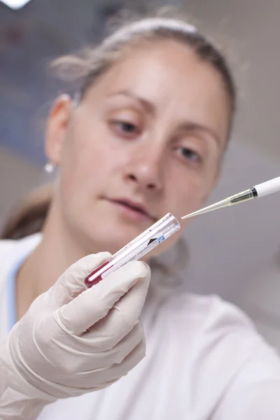 Micro pipette with blood — Stock Photo, Image