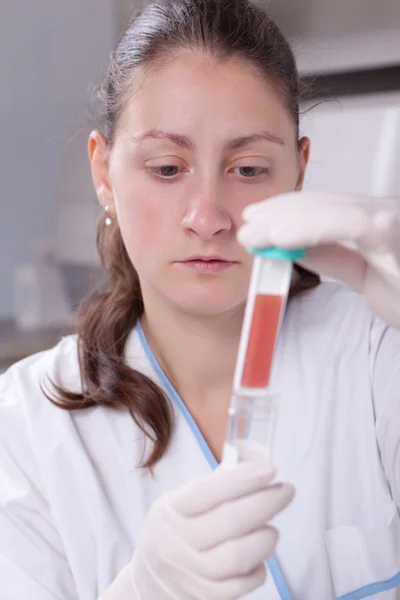 Lab wetenschapper met petrischaal — Stockfoto