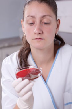 Laboratuar bilim adamıyla petri dish