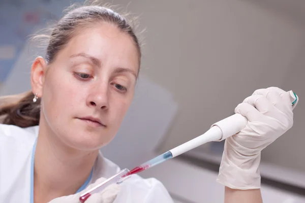 Micro pipette with blood Stock Image