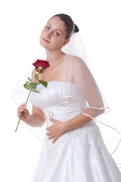 Sposa in bianco con rosa rossa — Foto Stock