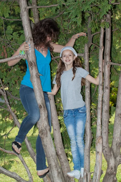 Gelukkige familie op een boom — Stockfoto