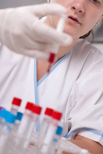 Injecting blood in test tube Stock Photo