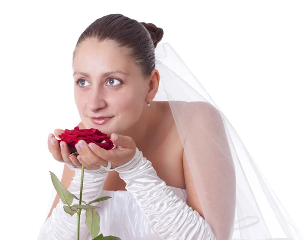 Braut mit roter Rose — Stockfoto