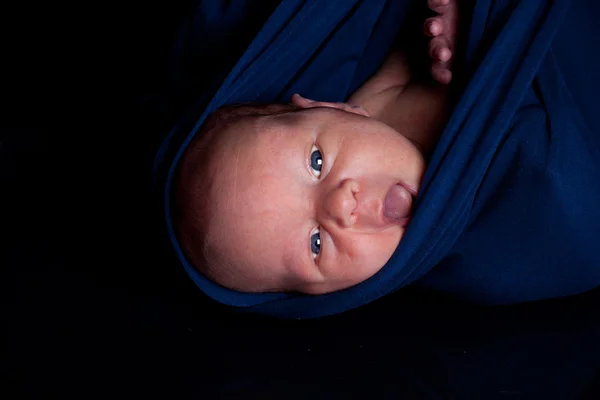 Nyfödda i sele — Stockfoto