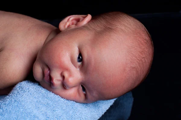 Newborn on towel — Stock Photo, Image