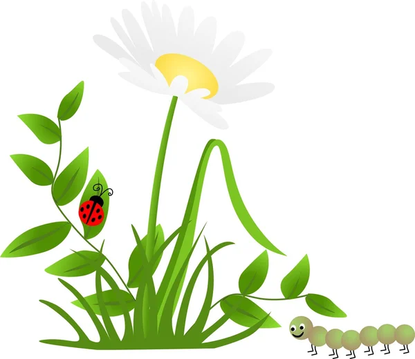 Coccinelle des fleurs Centipède — Image vectorielle