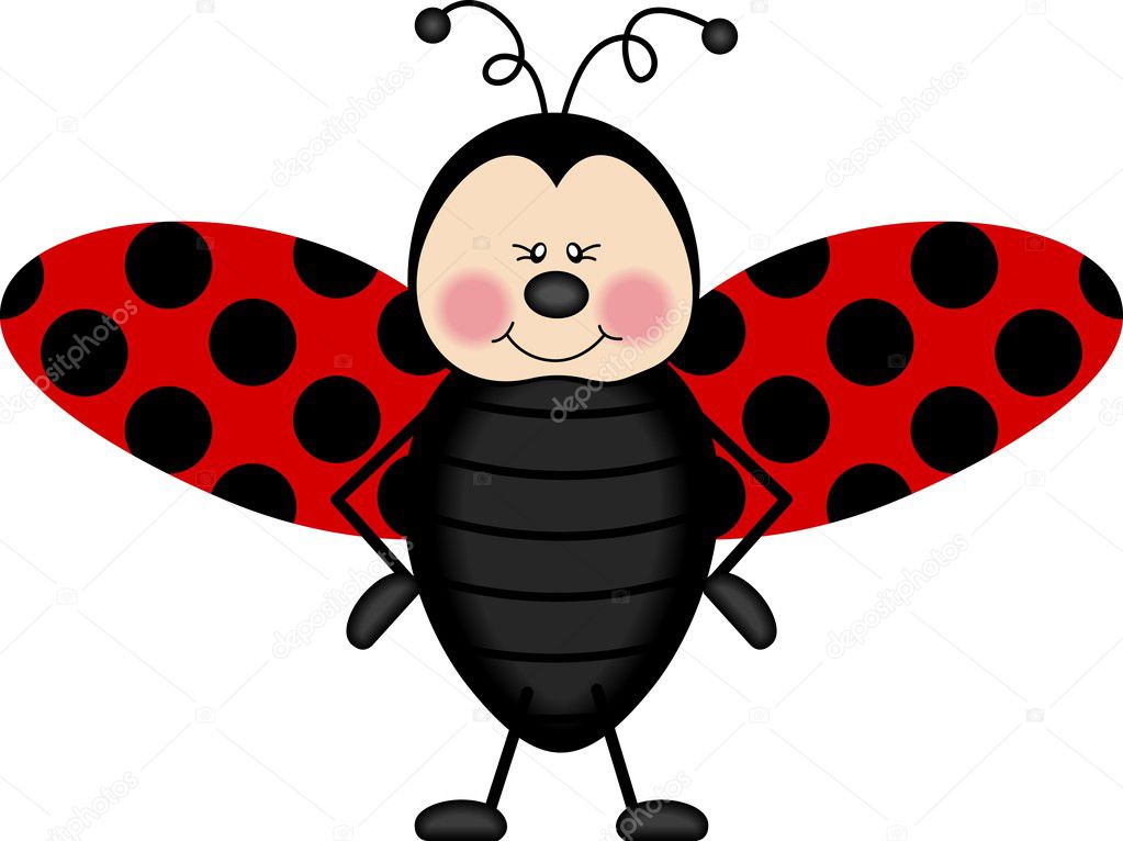 Ladybug wings