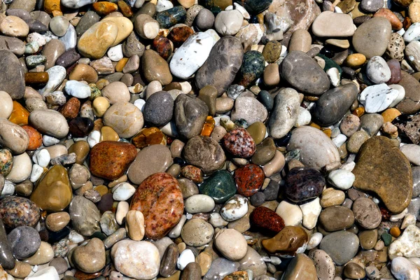 Pebbles de praia molhada — Fotografia de Stock