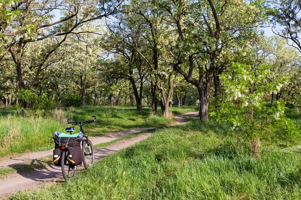 Bicycke på en skogsväg — Stockfoto