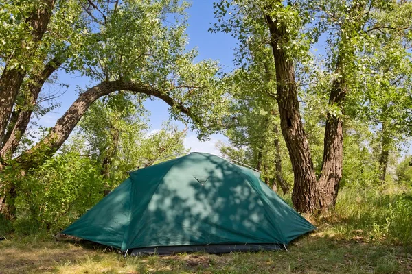 Bir ormandaki turistik çadır — Stok fotoğraf