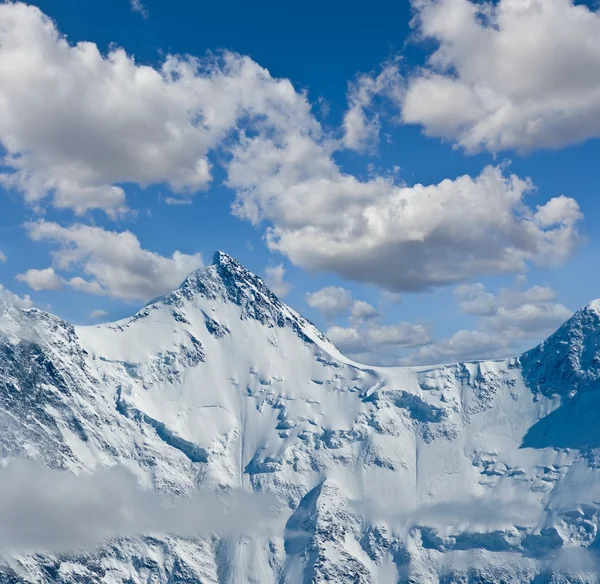 Yüksek dağ tepe — Stok fotoğraf