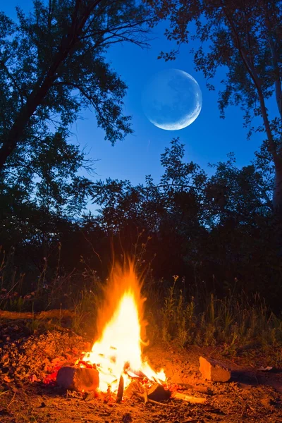 Camp fite et une lune — Photo