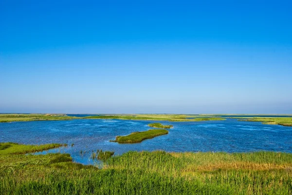 Синє озеро і зелені поля — стокове фото