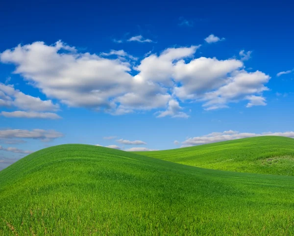 Splendido paesaggio verde colline — Foto Stock