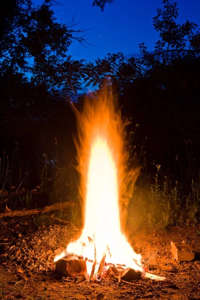 Campo antincendio — Foto Stock