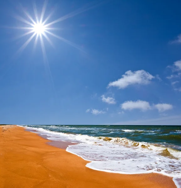 Sommaren sandiga stranden — Stockfoto