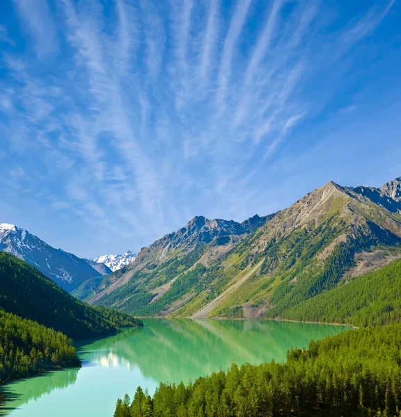 Lago verde in montagna — Foto Stock