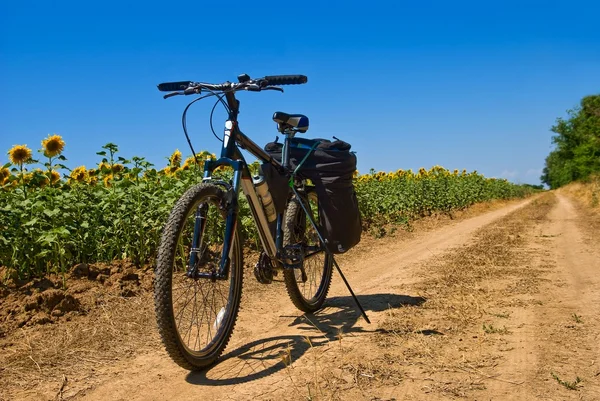 Велосипед на сельской дороге — стоковое фото
