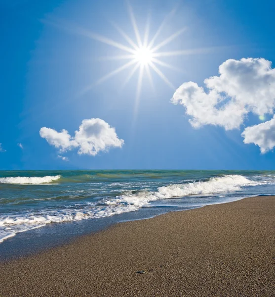 Summer sea coast — Stock Photo, Image