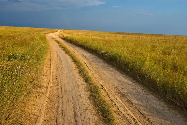 Road in a steppe — Stock Photo, Image
