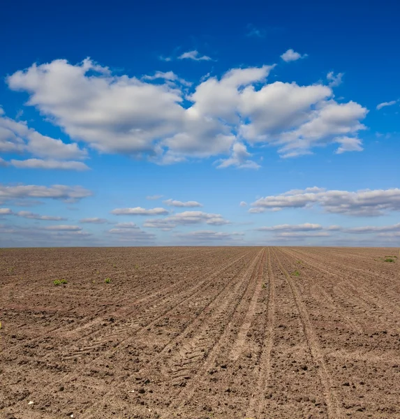 Paisaje de tierras de arado — Foto de Stock