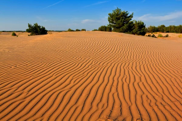Deserto de areia à noite — Fotografia de Stock