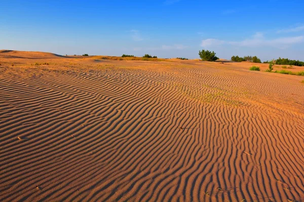 Sandy desert — Stock Photo, Image
