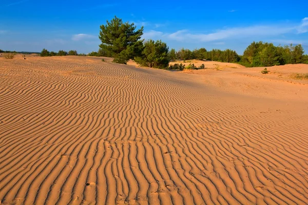 Песчаный пустынный пейзаж — стоковое фото