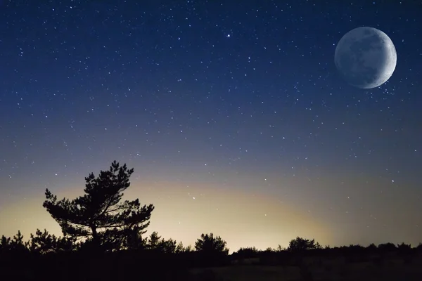 Demi lune au-dessus d'une steppe nocturne — Photo