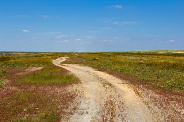 Road among a prairie — Stock Photo, Image