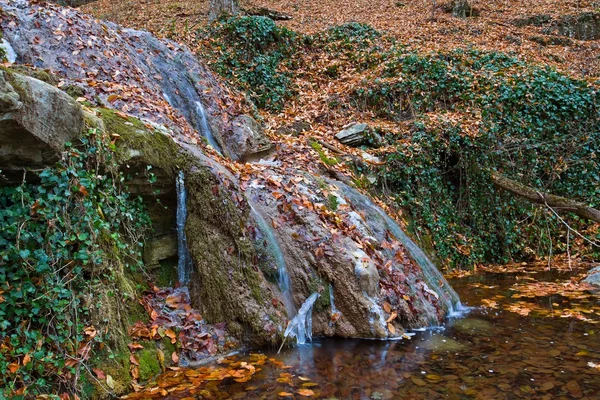 在秋季的高山峡谷中的河 — 图库照片