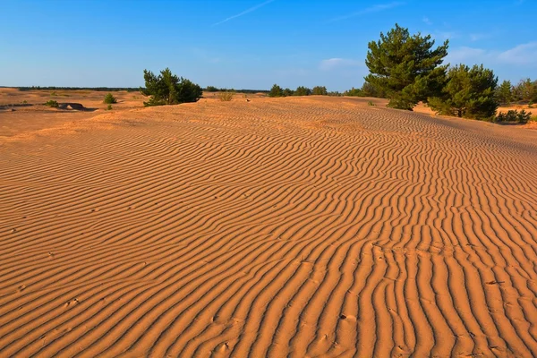 Deserto de areia à noite — Fotografia de Stock