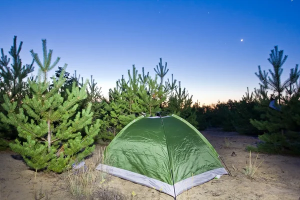 Geceleri bir ormandaki yeşil turistik çadır — Stok fotoğraf