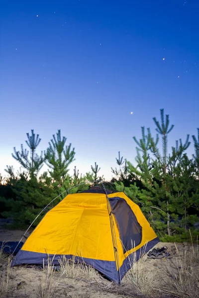 Gele toeristische tent in een dennenbos op de vroege ochtend — Stockfoto
