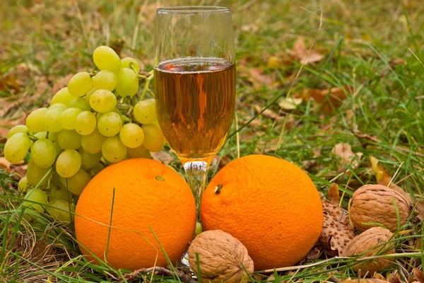 Glass of white wine among a fruits in the grass — Stock Photo, Image