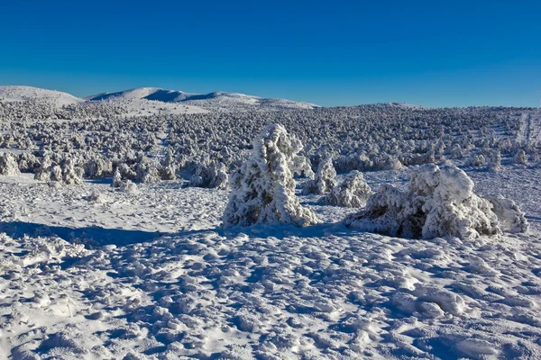 Vinter snö-bundna plain — Stockfoto