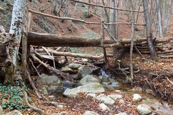 Puente de madera sobre un pequeño río —  Fotos de Stock