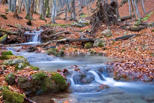 Río en un cañón de montaña de otoño — Foto de Stock