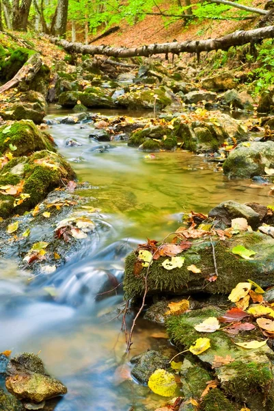 Pequeno riacho em um desfiladeiro de outono — Fotografia de Stock